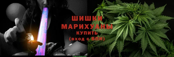 PSILOCYBIN Алзамай