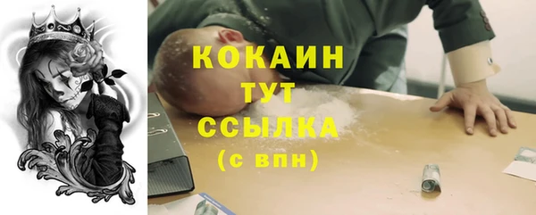 PSILOCYBIN Алзамай