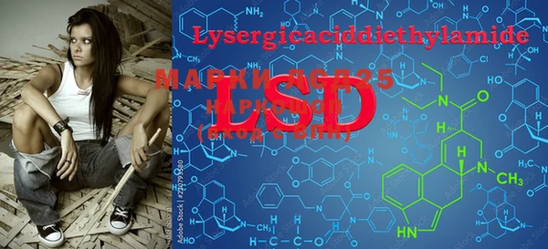 PSILOCYBIN Алзамай