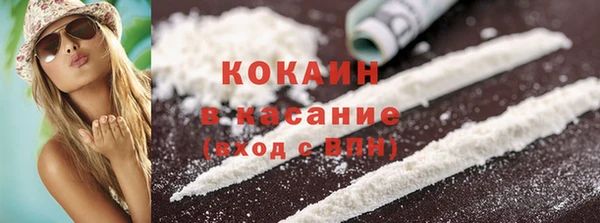 PSILOCYBIN Алзамай