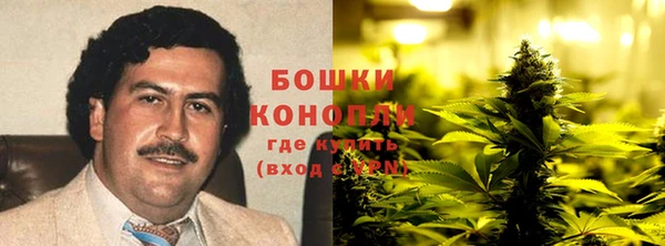 PSILOCYBIN Алзамай