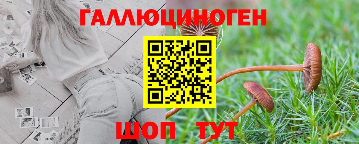 Галлюциногенные грибы Magic Shrooms Иваново
